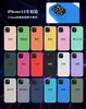 Adecuado para iPhone16 Agujero Fino Silicona Líquida Imitación Original Succión Magnética Funda de Teléfono Apple magsafe Flocado Suave