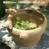 Cuenco Maceta de loto Maceta de cerámica Maceta suculenta Maceta de gran diámetro sin orificio Maceta hidropónica para plantas verdes Maceta especial Maceta doméstica Jarrón grande