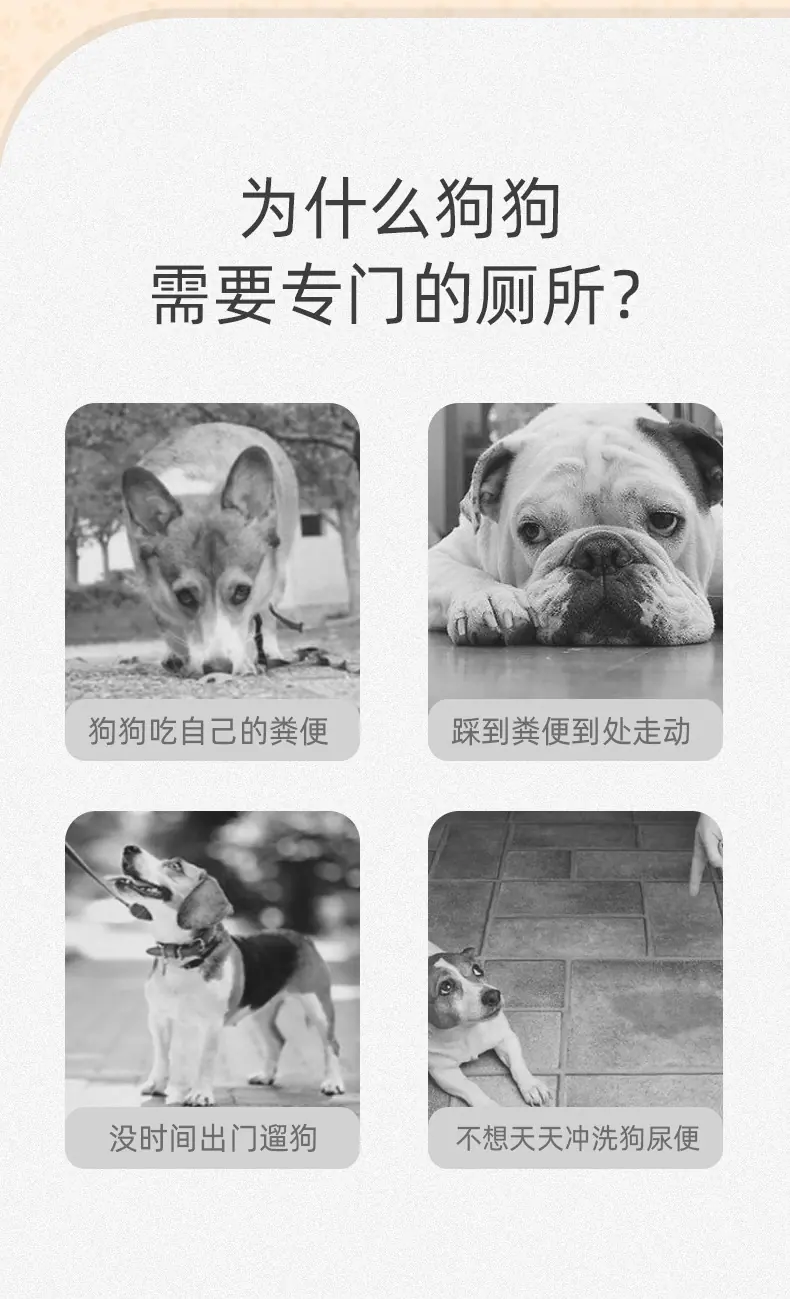 详情_03.jpg