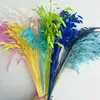 Flores Eternas Erva da Pequena Esperança Flores Secas Flores Verdadeiras Branqueamento Cor acessórios de buquê absorção de cor Erva da Pequena Esperança Fábrica de Yunnan Atacado Flores Eternas