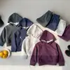 Conjunto de sudadera con capucha para niños, sudadera tie-dye de moda para niños y pantalones de chándal, conjunto de dos piezas con sudadera con capucha tipo pullover para bebé, otoño e invierno