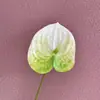 Filme de impressão 3D palma vermelha garça flamejante palma flor de simulação arranjo de flores para auditório de casamento paisagem simulação planta verde atacado flor artificial