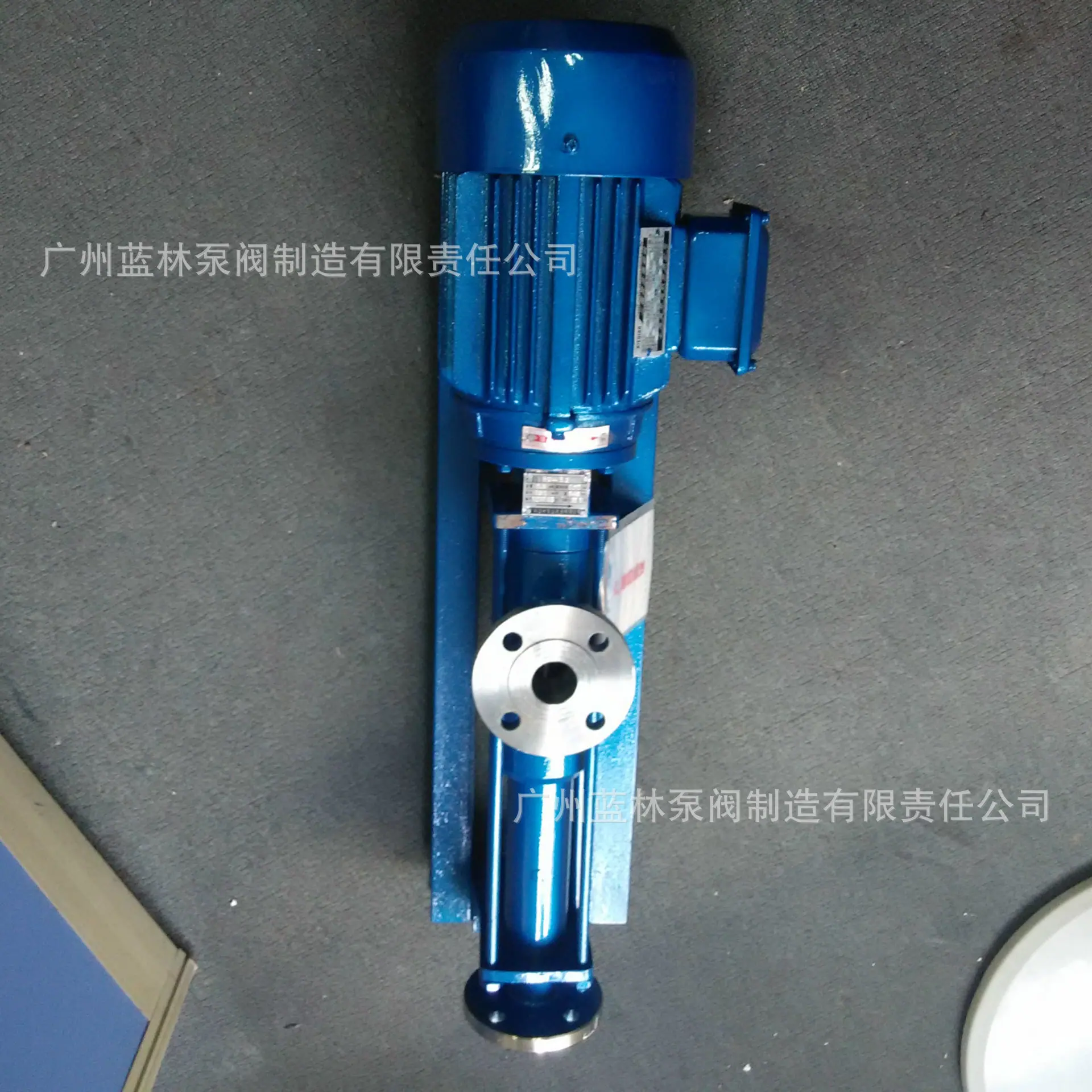 RV-3.2不锈钢螺杆泵012