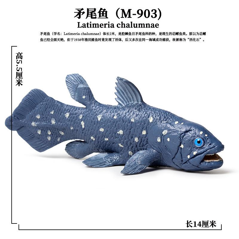 PL127-903矛尾鱼