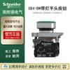 Schneider XB4BW33B5 con botón plano LED ZB4BW0B15 ZB4BW333 metálico auto-retorno 24V