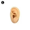 Modelo de Exhibición de Auriculares de Oreja de Silicona Joyería de Pendientes de Oreja Práctica de Limpieza de Orejas Prop de Enseñanza de Simulación del Cuerpo Humano