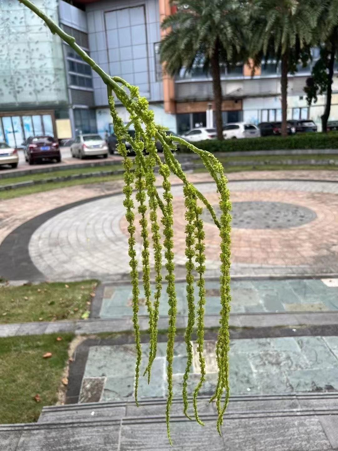 微信图片_20240805150155