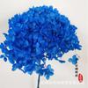 Hortensia de flor eterna de Yunnan, Hortensia Anna, Hortensia de madera de conservación fresca, Caja de regalo para el Día de San Valentín, Ceremonia decorativa floral