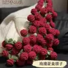 Pacote de Material para Cobertor de Crochê DIY Buquê de Lã Feito à Mão Cobertor de Crochê Transformado em Buquê Presente Criativo Manta de Lírio-do-Vale e Rosa