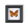 Marco de Fotos de Espécimen de Mariposa Pintura Decorativa de Madera Adorno Retro Europeo Soporte de Exhibición Muebles DIY Regalo de Cumpleaños Regalo
