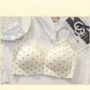 Venda Direta de Fábrica de Roupas Íntimas de Renda Floral Doce Populares Transfronteiriças, Push-Up para Seios Pequenos, Suporte Macio, Sutiã Beauty Back Sem Fio
