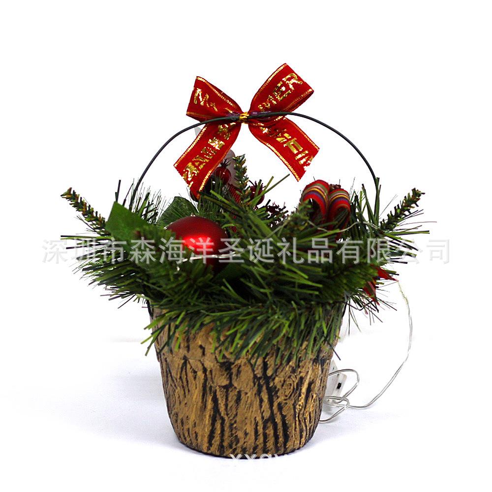 SHY-CNP10-27864.JPG