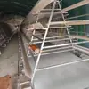 Jaulas para Pollos de Huevo Tipo Escalera de Tres y Cuatro Pisos para Granjas de Pollos, Jaulas Verticales de Cría Multinivel para Pollos de Huevo, Jaulas para Pollos Tipo A