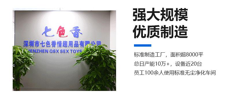 公司简介_04