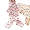 Fábrica de Origen Ropa para Mascotas de Cuatro Patas Ropa para Perros Ropa para Mascotas Linda de Cuatro Patas Ropa para Perros de Cuatro Patas Ropa para Mascotas