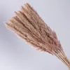 Flores Secas de Juncia Pequeña, Hierba de Pampa, Ramilletes de Juncia Pequeña al por Mayor, Ramilletes para Boda y Decoración del Hogar, Arreglos Florales DIY