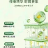 Aceite Nasal para Alivio Gongkang Semilla de Xanthium, Aceite Esencial Herbal para Alivio Nasal, para nariz seca y congestionada, gotas nasales para niños, fabricante de tiras nasales