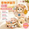 Haomaijia Gola Elizabetana com Estampa de Desenho Animado - Gola Macia Anti-Lambedura para Gatos e Cachorros Após Cirurgia de Castração, Disponível em Vários Tamanhos e Personalizável
