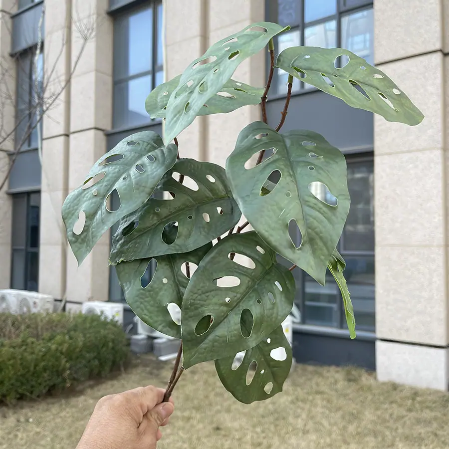 3叉11头加密绿植-龟背叶.JPG