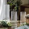 Jarrón de Vidrio Resistente al Calor de Alto Borosilicato, Adorno para Hidroponía, Arreglo de Plantas de Bambú y Drácena, Maceta de Rayas Verticales, Adorno de Micro-Paisaje