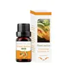 Comercio exterior transfronterizo aceite esencial de aromaterapia soluble en agua humidificador piedra expansora aceite esencial interior armario ambientador incienso fresco