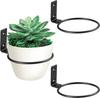 Suporte de anel para planta com flor para pendurar na parede, anel para pendurar planta na parede, gancho de metal para suporte de planta na parede para vaso de flor