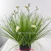 Simulación margarita rama única margarita amazónica flor decorativa simulación crisantemo único adornos paja heno plantas grupo pasto
