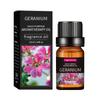 Óleo Essencial de Aromaterapia Desodorizante Transfronteiriço 10ml Máquina de Aromaterapia para Interior Fragrância Duradoura Óleo Essencial de Lavanda para Massagem