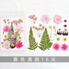 Tiktok mismo estilo Marcapáginas de Flores Secas hecho a mano diy paquete de material de botella pequeña transparente estudiante creativo casero pétalos de plantas