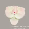 Cabeça de Orquídea Borboleta Simulada Lembrança com Decoração de Casamento Decoração de Móveis Floresta de Flores Artificiais DIY Fotografia de Alto Padrão
