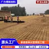 Geomalla de Acero-Plástico para Refuerzo de Terraplenes de Carreteras 80kn Ingeniería Protección de Taludes Ingeniería Malla de Acero-Plástico