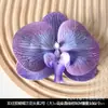 Cabeça de flor Phalaenopsis simulação pétala acessórios diy artesanal cocar grampo de cabelo decoração de casamento sobre filme flor atacado