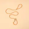 Suministros para Mascotas Perro y Gato Correa Collar Integrado Cuerda de Entrenamiento para Paseo de Perros Pequeños y Medianos Venta al por Mayor
