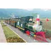 Tren Turístico Escénico Rural Estilo Disney Personalizado, Equipo de Atracción de Ferrocarril Ligero a Vapor, Suministro Directo del Fabricante