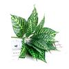 Simulação transfronteiriça sentir filme planta decoração de parede caixa de flores verde planta acessórios plástico falso flor fabricantes atacado