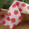 Cinta con estampado de frutas de doble cara para niños, lazo para el pelo, accesorios para ropa, zapatos y sombreros, cinturón decorativo de juguete