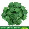 Hoja de Potos flor artificial vid hojas de vid vid de uva decoración de tubo de techo vid plantas verdes de plástico cubriendo enredadera