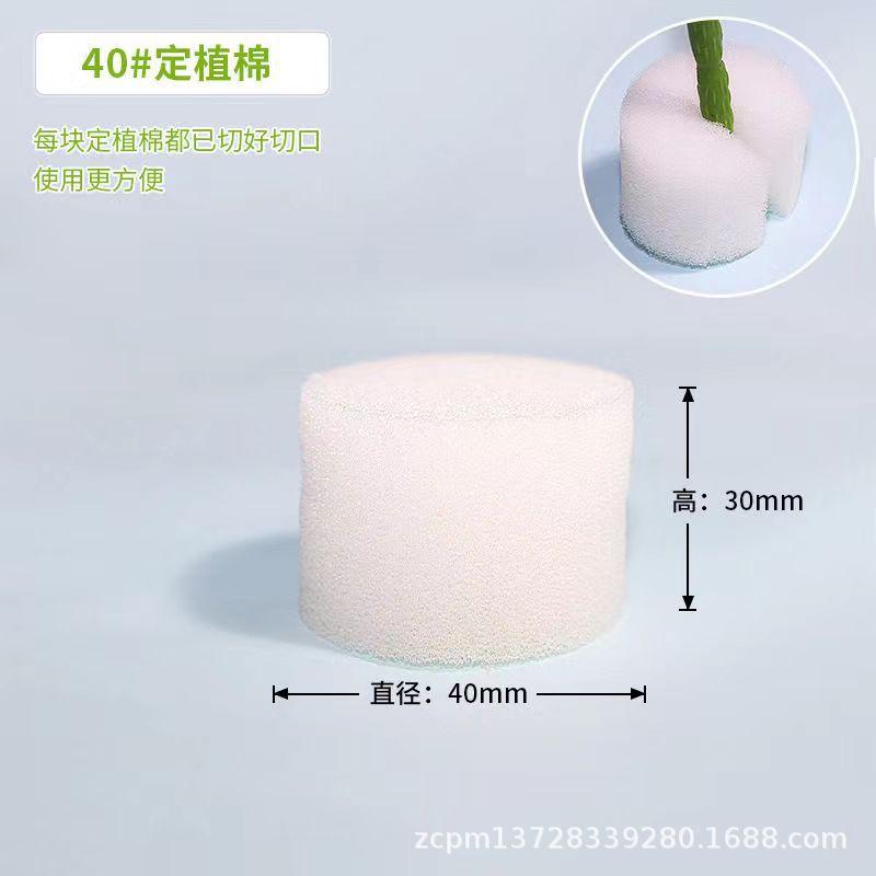 bd21a9d3e242a8b2dd59053040f208