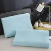 Funda de almohada de látex impermeable Funda de almohada para adulto Funda de almohada de goma Funda de almohada especial 30X35X40X55X60 Par Estilo Nuevo