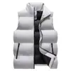 Colete de Algodão com Penas Outono e Inverno Feminino 2024 Novo Estilo Coreano Solto Emagrecedor Estilo Chanel Colete Colete Versátil Casaco Tendência