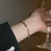 Pulseira Retrô Estilo Palácio com Zircônia Torcida Cruzada, Toque de Luxo Leve e de Alta Qualidade, Pulseira Exquisita, Mesmo Estilo da Xiaohongshu, Joias Femininas