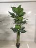 Simulación de comercio exterior taro verde simulación taro de hadas bonsái planta de simulación Guanyin goteante adornos decorativos en maceta venta al por mayor