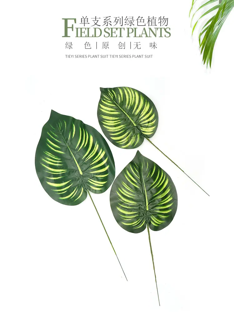 花绿萝叶单支_01.jpg