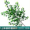 Simulación ramificación enverdecimiento hojas de árbol falso decoración ingeniería jardín pegamento árbol grande hojas de baniano paisajismo accesorios para actuación