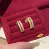 Pendientes Minimalistas de Doble Círculo con Espiga de Trigo en Plata S925 para Mujer, Anillo Versátil de Lujo Cepillado de Alta Gama con Microincrustaciones