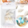 Serie Oceánica Manicura Rodajas de Concha Natural Rodajas de Abulón Estrella de Mar Caracola Playa de Verano Joyería DIY Mayoreo