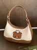 Bolso de cuadros de nicho exquisito y moderno para mujer, nuevo modelo 2026, minibolso cruzado versátil, bolso tipo dumpling, bolso de mano pequeño para salir