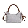 Bolso de verano con forma de dumpling, bolso de hombro versátil de nuevo estilo, bolso cruzado de moda para el trabajo 2026, bolso de un solo hombro para mujer