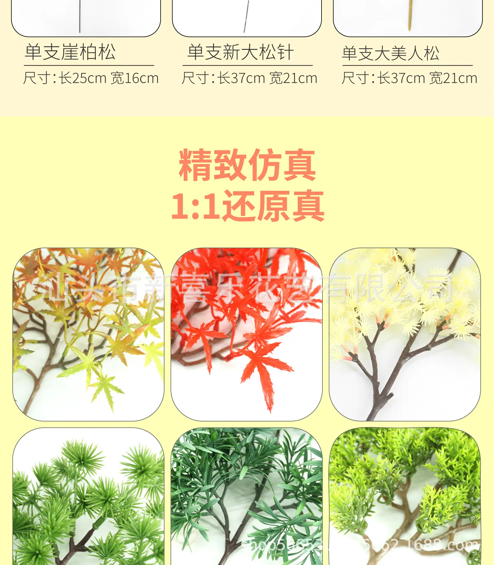 ]罗汉松详情页-07.jpg