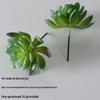 Suculentas Simuladas, Decorações de Plantas Verdes, Combinação de Mini Enfeites de Cactos, Plantas Suculentas em Vasos, Atacado de Bonsai